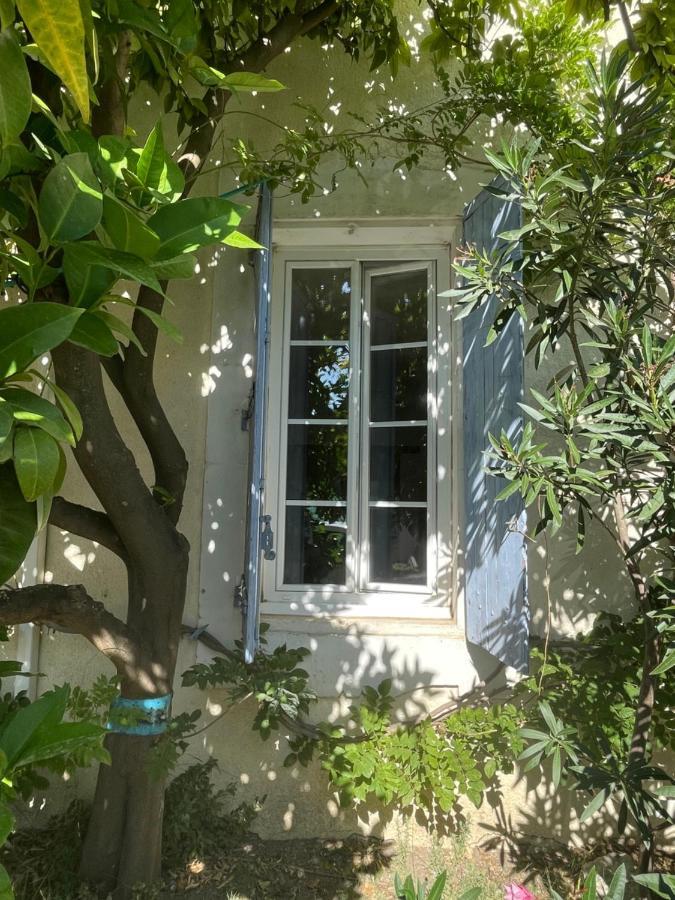 Du Cote De Chez Nous Daire Cuxac-dʼAude Dış mekan fotoğraf